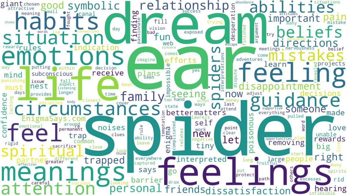 dream about spider in ear and related dreams with their meanings in a word cloud