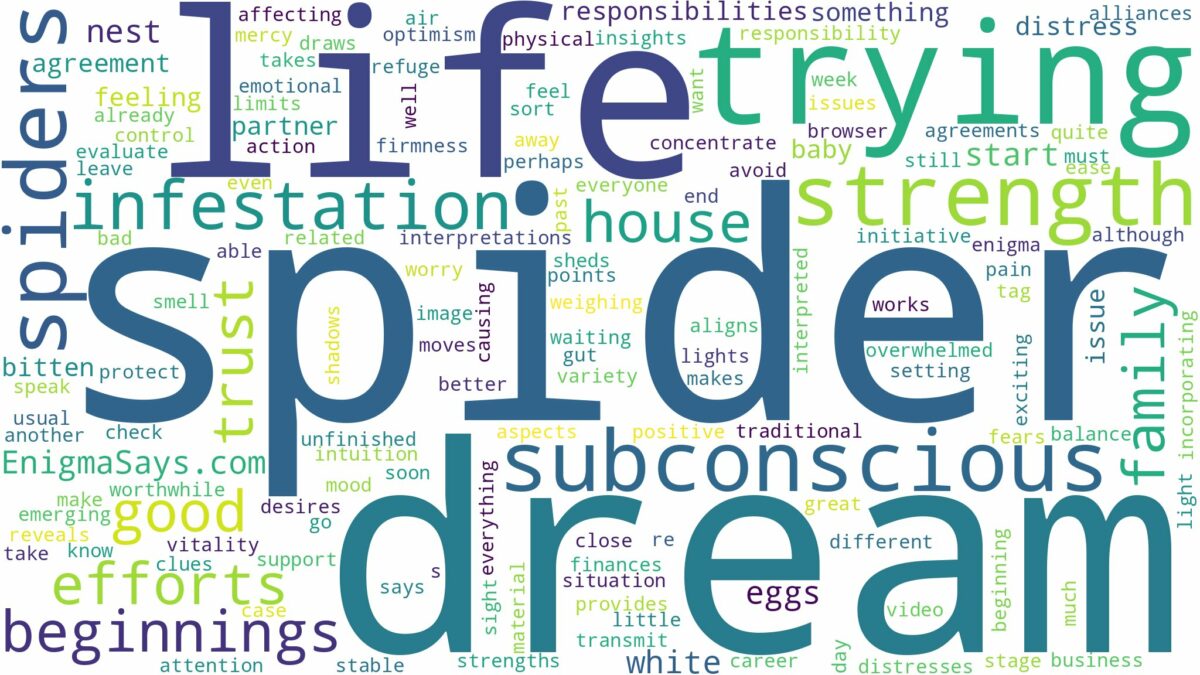 dream about spider infestation and related dreams with their meanings in a word cloud