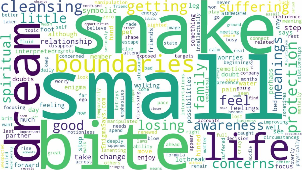 dream about a small snake bite and related dreams with their meanings in a word cloud