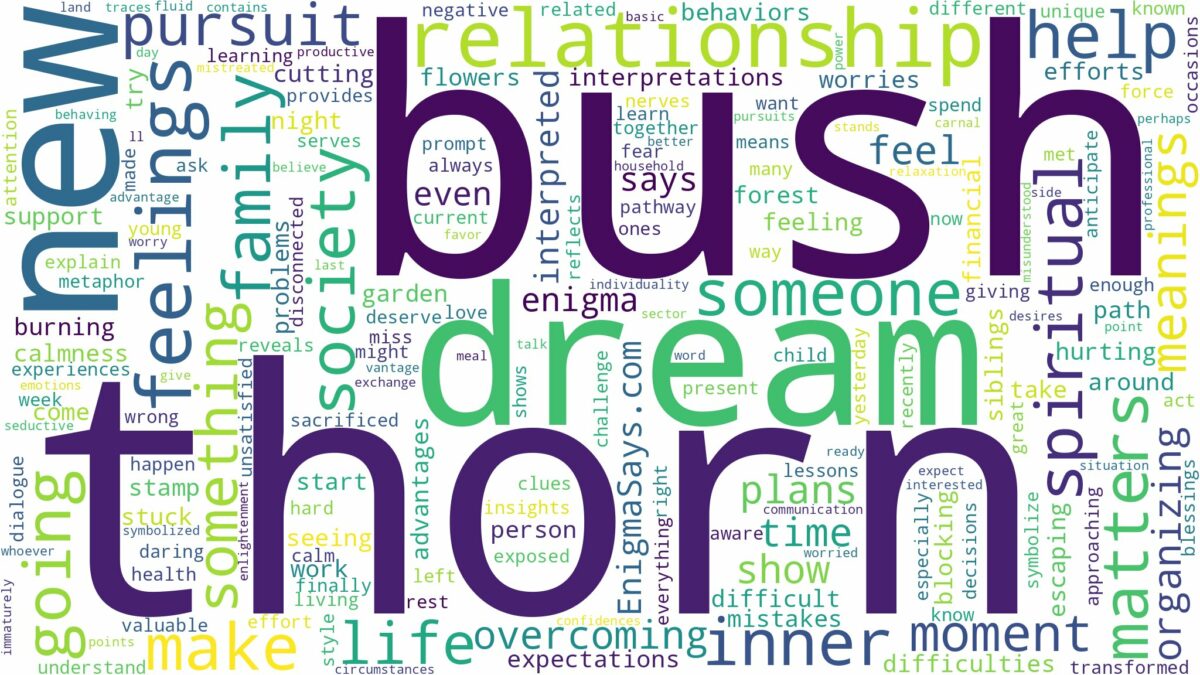 dream about thorn bush and related dreams with their meanings in a word cloud