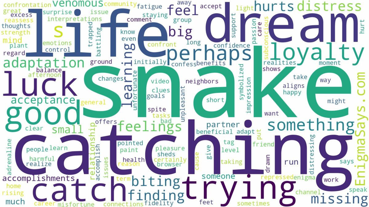 dreaming of trying to catch a snake and related dreams with their meanings in a word cloud