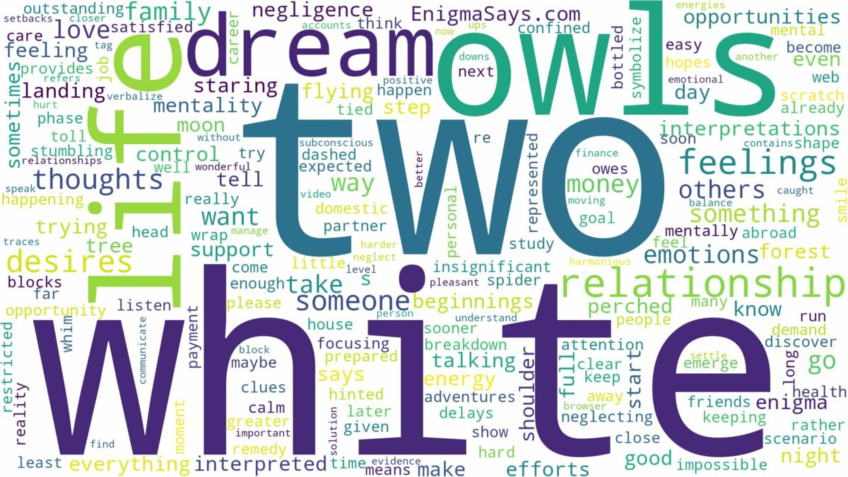 dream about two white owls and related dreams with their meanings in a word cloud