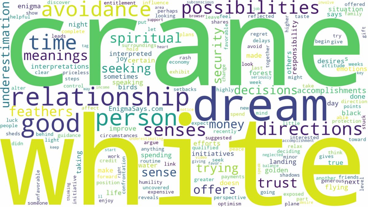 dream about white crane and related dreams with their meanings in a word cloud