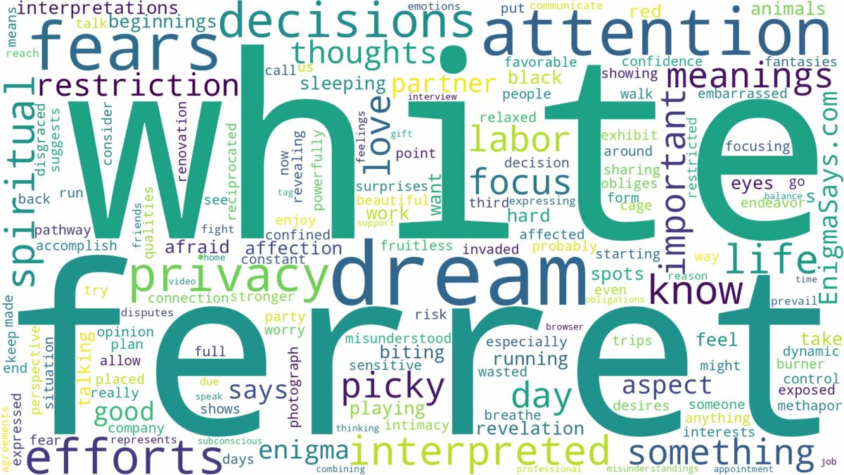 dream about white ferret and related dreams with their meanings in a word cloud