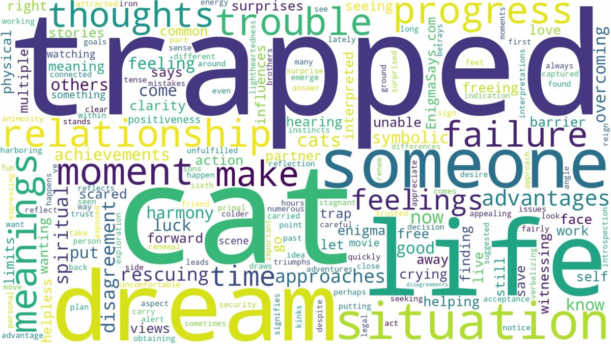 dream about a trapped cat and related dreams with their meanings in a word cloud