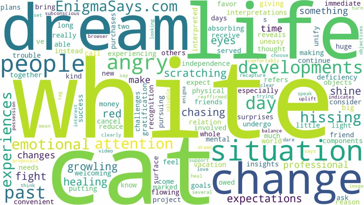 dream about angry white cat and related dreams with their meanings in a word cloud