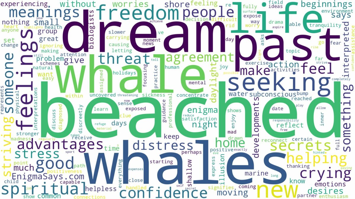 dream about beached whales and related dreams with their meanings in a word cloud